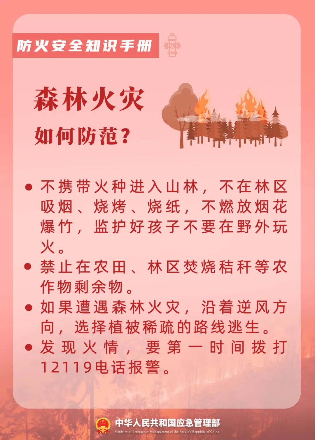 今天，是第31个全国消防日(图6)